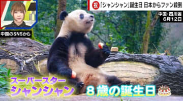 涙の別れから2年…「シャンシャン」の誕生日で日本人ファンが中国に殺到
