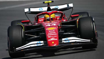 レース中に小動物はねたハミルトン「悲しすぎる」　Ｆ１カナダＧＰ