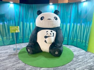 『パンダコパンダ展 』作品の舞台 所沢で今夏 会えるよ！