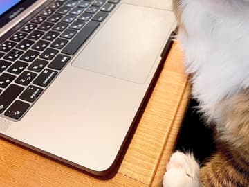 リモート会議で「かわいい」といわれて？　まさかの表情に「笑った」