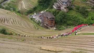 中国・広西竜勝県の竜脊棚田で豊作祈る伝統行事