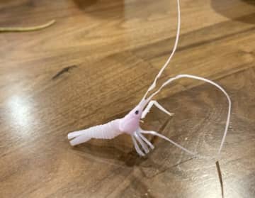 「この発想はなかったw」母の力作が可愛すぎて話題　ストローで作ったエビが天才の域を超えてると称賛の声