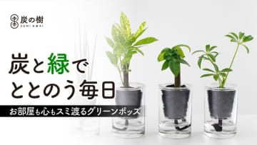 土の代わりに炭で育つ新感覚グリーン「炭の樹」6月16日から先行発売！手間が少ない独自の給水構造　土いらず・虫知らず！累計販売1万個超のブランド炭を使ったスタイリッシュなインテリア