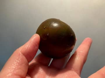 【コストコ】2度見しちゃった！トマトじゃなくて「KUMATO」なの？