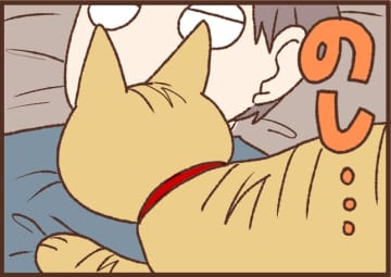 【吉川さん家の猫事情】#98話 謎のブームが…