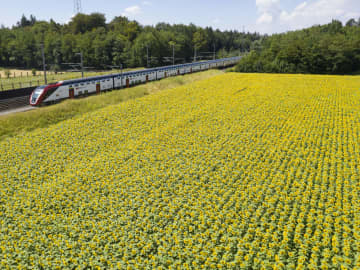 見えぬ障がい伝えるバッジ、試験配布開始　スイス連邦鉄道