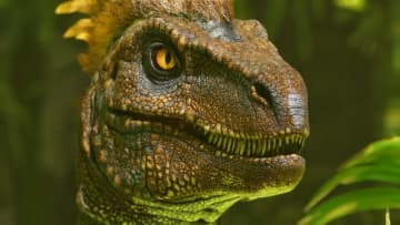 『ARK: Survival Ascended』最新アプデでAMD製GPU使用時にフレーム生成が強制有効化。ゲーム内設定での無効化は行なえず