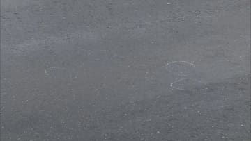 「無免許運転で自転車に乗った人をはねた」89歳男性を死亡ひき逃げ…矢島良市容疑者（33）を逮捕　埼玉・鴻巣市