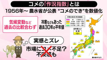 現場とズレ…農水省、コメの“できばえ”指標を廃止　背景に気候変動も　「コメなぜ高い？」調査を拡大【#みんなのギモン】