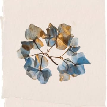 Wataru Fujiwara、優しいチル・ビート「Sleep with Nature」リリース
