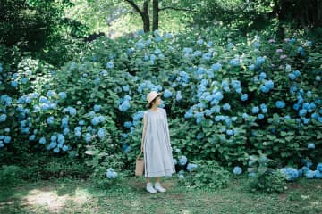 今が見頃！関西「あじさいスポット」おすすめ３選【２０２５年】
