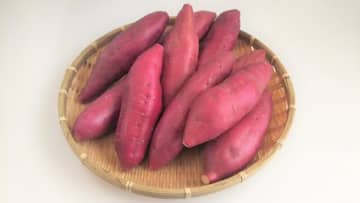 【徳島県鳴門市】宿泊費０で２週間のお試し暮らし！潮風感じる海辺で特産品「なると金時」の農業バイト体験してみませんか？
