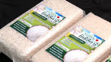【現地取材】「毎月田植えし毎月稲刈り」日本市場狙う“タイ産コシヒカリ”　価格は5kg約2230円…農家「日本からコメを輸入したいと連絡きている」