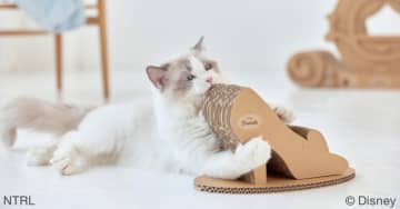 【ねこ×ディズニー】これは癒し…！「激かわキャットトイ」で猫ちゃんも楽しそう♪（画像あり）