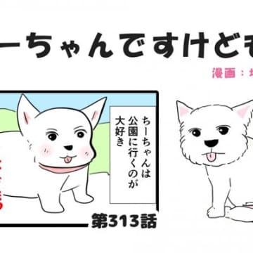 ちーちゃんですけどもっ【第313話】「先頭を走りたい」