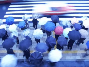 梅雨の不調に！ だるさや頭痛がツラい「気象病」を和らげる方法【漢方薬剤師が解説】