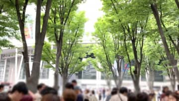 新緑とクラフトビール、そして占い──けやきひろばビール祭り2025を楽しんで【JBJA Channel】