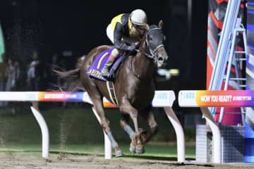 【関東オークス】メモリアカフェが5馬身差圧勝…交流重賞初制覇