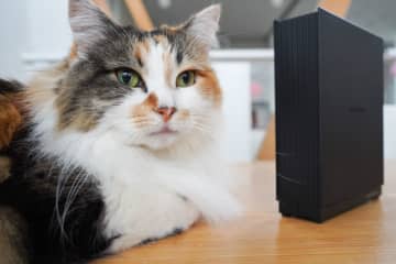 アイ・オーのNAS「LANDISK」シリーズにスマホからアクセス！　「Remote Link Files」アプリを設定する【自宅Wi-Fi使いこなし】