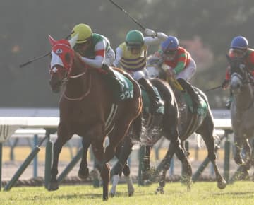 【府中牝馬S登録馬】ラヴェルなど14頭