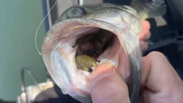 うろうろするバス、少しナーバス…。季節の進行が遅い川、どう攻略する？「使うのは障害物。トップも視野に入れて！」