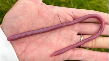 ちょい太ロング、どう使う？「シリコンチューブ＆縦挿し」濁った場所で威力は抜群。ハイプレエリアでも驚きのビッグバス率