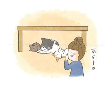 預かり保護犬モナさん、猫の秘密基地での大混乱!?　サイズオーバーの悲劇とは【連載】交通事故にあった猫を拾いました#213