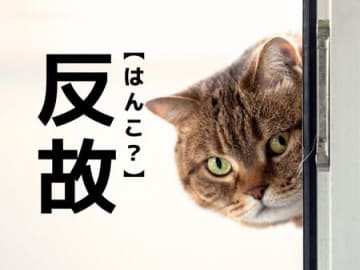 【反故】なんて読む？「はんこ」ではありませんよ！【読めそうで読めない漢字クイズ】