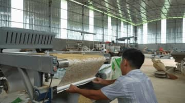 イネの種子を3Dプリント？画期的な印刷式播種育苗技術―中国