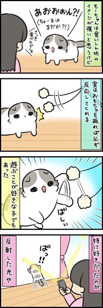 愛猫の意外な遊び心、おもちゃよりも飼い主の髪の毛が大好き！【連載】もふもふスコたん#352