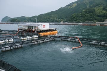 F＆LCほか／ブリ養殖における遠隔自動給餌システムの実証試験を開始