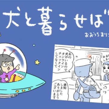 犬と暮らせば【第494話】「揺れる！！エマさん」
