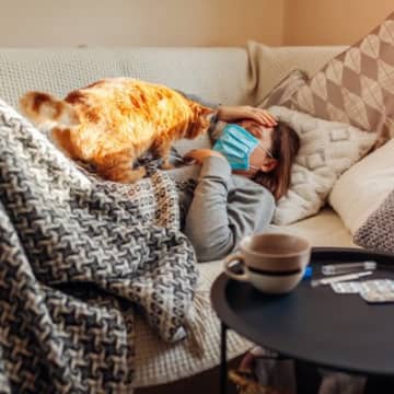 猫が相手に『気遣い・遠慮している』ように見える行動3選　実際のところはどんなキモチ？
