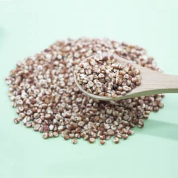 「ソルガム」はDNA損傷を抑制し老化を防ぐ…熟睡したいなら夕食に【時間栄養学的「気になる食品」】