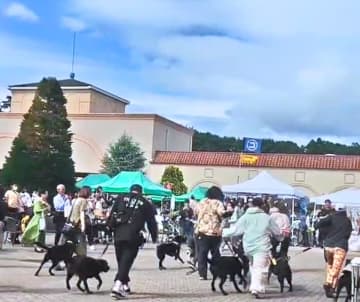 with Dogs club「Happy！ワンDaysフェスタ」4万人を動員し大盛況のうちに終了