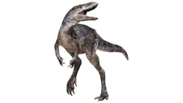 「竜の王子」を発見、ティラノサウルスの進化に新たな理解　３度の大移動が生んだ多様性
