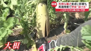 野菜が“溶ける”　危険な暑さで食卓に影響も
