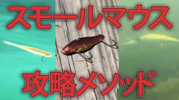 檜原湖完全攻略！プロガイドが明かす春の対スモールマウスメソッド【ポイントはラインシステム】