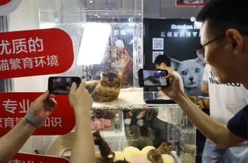 中国の「AI生成ペットドラマ」がネットで大旋風を巻き起こす―香港メディア
