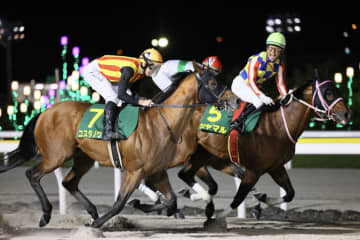 【さきたま杯】コスタノヴァなどJRA馬は5頭