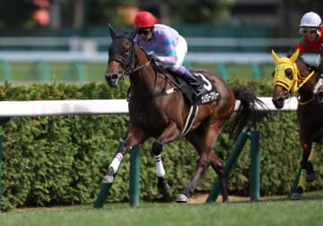 武豊騎手 今週の騎乗馬…函館で14鞍