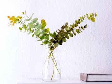 6月20日（金）今日はトラブルを寄せ付けない特別な幸運日！ゼッタイやるといいこと、ありますよ♪