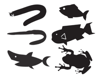人類のルーツは魚だった!? ５億年の進化がスゴすぎる【眠れなくなるほど面白い 図解 魚の話】