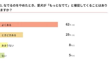 【調査】ナデナデをやめたとき“おかわり”を求める犬の行動｜獣医師解説
