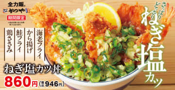 究極の生パン粉使用の鶏ささみ・鮭・海老のフライ、からあげの迫力満点丼にたっぷり青ねぎと玉ねぎの特製塩ダレをかけて、さっぱり＆がっつりを叶える! かつやが「ねぎ塩カツ丼」を本日20日(金)発売