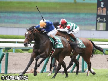 【府中牝馬ステークス】キャリア不足が仇となるか？ 府中牝馬Sの“買えない馬”は！？