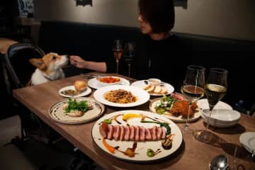 【浦安ペット情報】新浦安のビストロ「ラプラージュ」で、愛犬とワインと料理を楽しむ幸せ時間♡ ≪無料送迎サービスもあります♪≫