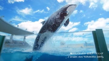 鴨川シーワールドで“夏の感動体験” シャチCM公開＆宿泊券が当たるキャンペーンも開催中