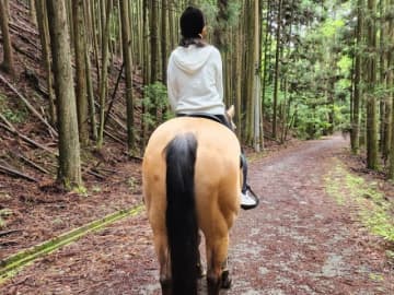 【丹波篠山】初心者でも安心！お馬に揺られてゆっくり林道を歩く