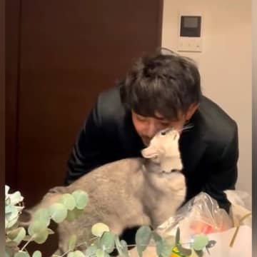 『新婚夫婦』かと思いきや『飼い主と猫』…ラブラブすぎる帰宅シーンと、予想外の『まさかの展開』が17万再生「笑ったｗ」「好きすぎてね」